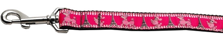 Poodles in Paris Nylon Dog Leash 3/8 inch wide 4ft Long